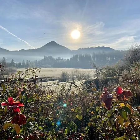 Organic Farm Schwaig Elf Mirror Apartment Schliersee